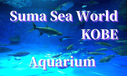 Kobe: Suma Sea World "Aquarium Fish Viewing", JAPAN