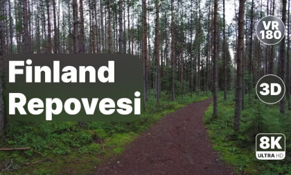 Finland Repovesi National Park - Forest Walk 8K 180 3D VR Video Finland Repovesi National Park - Forest Walk 8K 180 3D VR