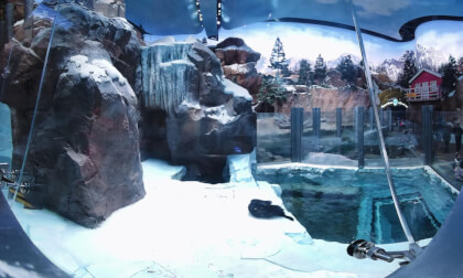 Sea World,Abu Dhabi,Part I Sea World,Abu Dhabi,Part I