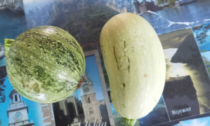 Monjardin-8KVR VR Video Monjardin-8KVR VR