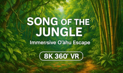 Song of the Jungle | Immersive Oʻahu Escape (8K 360° VR) VR Video Song of the Jungle | Immersive Oʻahu Escape (8K 360° VR) VR