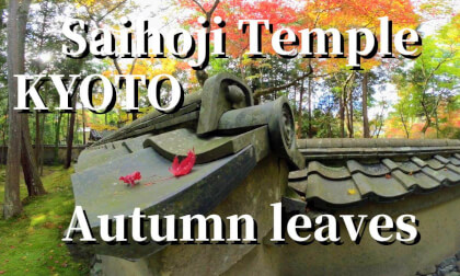 Kyoto: Autumn leaves at Saihoji Temple (Moss Temple), JAPAN VR Video Kyoto: Autumn leaves at Saihoji Temple (Moss Temple), JAPAN VR