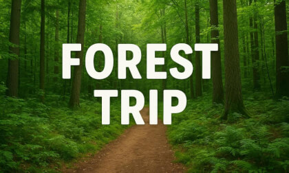 FOREST TRIP | TIMELAPS | INSTA360X5 | FOREST TRIP | TIMELAPS | INSTA360X5 |