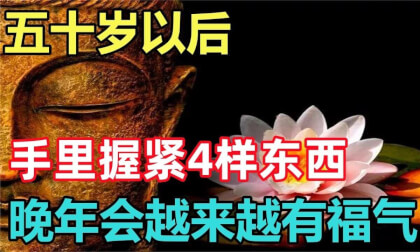 Zen: L Post annos, tenere IV quae in manum tuam VR Video Zen: L Post annos, tenere IV quae in manum tuam VR