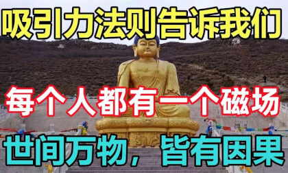 Zen: Lex dulcedo narrat nos, quod quisque habet magneticam agri. Omnia in hoc mundo habet causare et effectus VR Video Zen: Lex dulcedo narrat nos, quod quisque habet magneticam agri. Omnia in hoc mundo habet causare et effectus VR