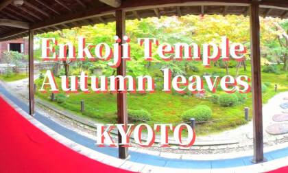 Kyoto: Enkoji Temple "Early Autumn Foliage", JAPAN