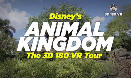 Disney’s Animal Kingdom in 8K 3D 180° VR | Immersive Park Experience with Natural Sound Disney’s Animal Kingdom in 8K 3D 180° VR | Immersive Park Experience with Natural Sound