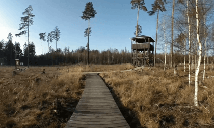 Forest of Poellwitz 180VR