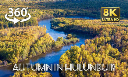 Autumn in Hulunbuir 呼伦贝尔之秋 | Inner Mongolia | 8K 360° Aerial Journey Autumn in Hulunbuir 呼伦贝尔之秋 | Inner Mongolia | 8K 360° Aerial Journey