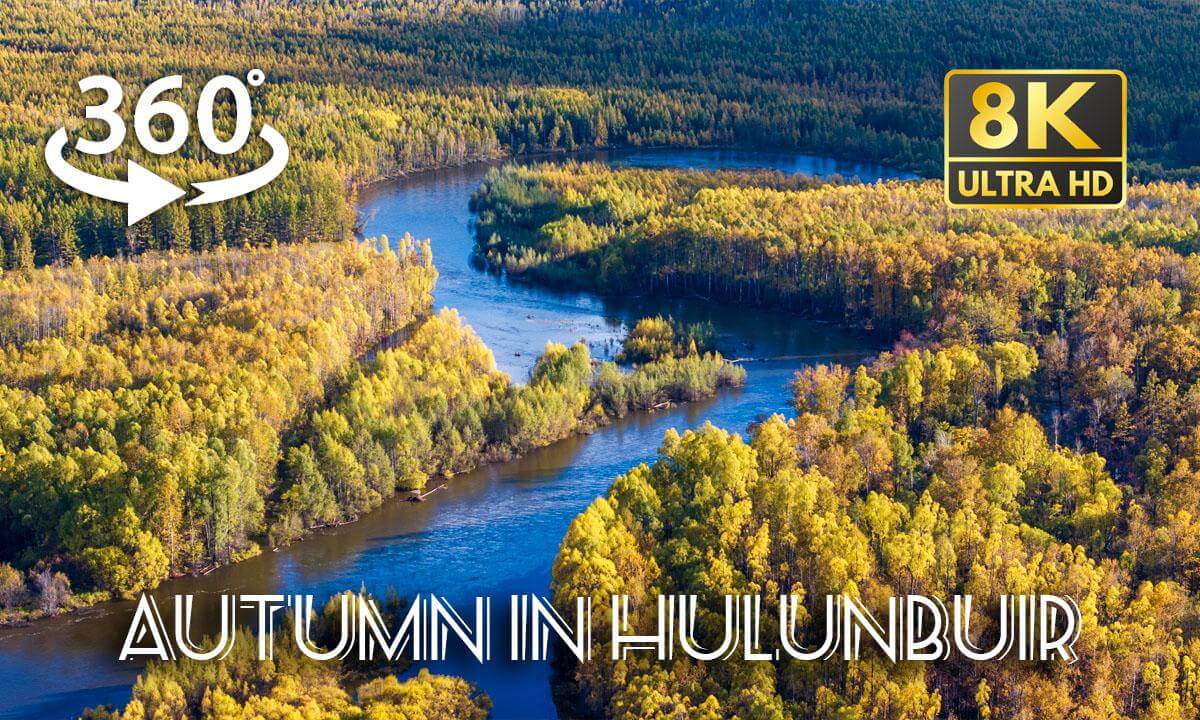 Autumn in Hulunbuir 呼伦贝尔之秋 | Inner Mongolia | 8K 360° Aerial Journey