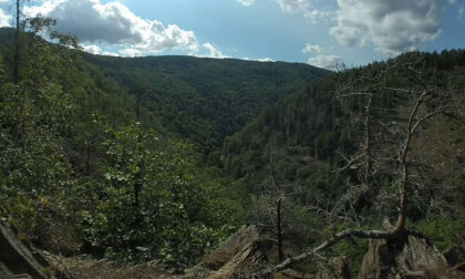 Castle ruins Eberstein - Schwarza Valley 180VR