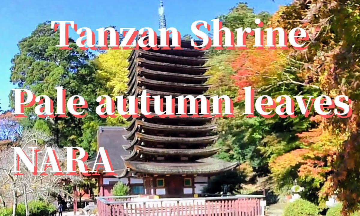 Nara: Tanzan Shrine "Early Autumn Foliage", JAPAN