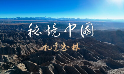 秘境中国8k版(札达土林)Secret Land China: 8K Version (Zhada Earth Forest) 秘境中国8k版(札达土林)Secret Land China: 8K Version (Zhada Earth Forest)