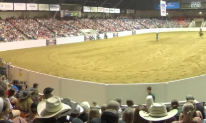 2025 Ohio Quarter Horse Congress Highlights 2025 Ohio Quarter Horse Congress Highlights