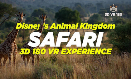 Kilimanjaro Safaris in 8K 3D 180° VR | Disney’s Animal Kingdom Wildlife Adventure VR Video Kilimanjaro Safaris in 8K 3D 180° VR | Disney’s Animal Kingdom Wildlife Adventure VR