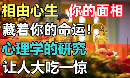 Rhoncus: Natus est ex animo, faciem tuam, latebat vestri Fatum! In investigationis de Psychology est mirum VR Video Rhoncus: Natus est ex animo, faciem tuam, latebat vestri Fatum! In investigationis de Psychology est mirum VR