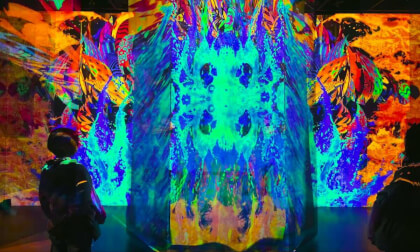 EXPO 2025 Japan - ANIMA ! いのちめぐる冒険 大阪・関西万博  (multi-angle) EXPO 2025 Japan - ANIMA ! いのちめぐる冒険 大阪・関西万博  (multi-angle)
