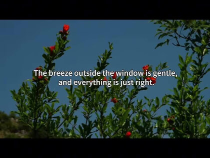 Trivial daily life can also be a healing movie Trivial daily life can also be a healing movie