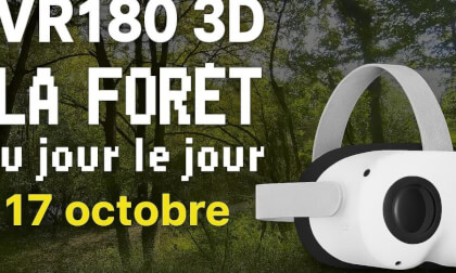 2025 - VR180 3D - LA FORÊT au jour le jour - 17 octobre 2025 - VR180 3D - LA FORÊT au jour le jour - 17 octobre