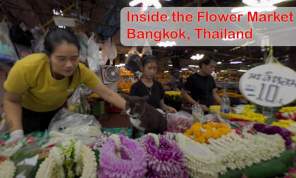 Inside Bangkok’s 24-Hour Flower Market 🌸 | Pak Khlong Talad VR Tour | Thailand Nightlife in Bloom Inside Bangkok’s 24-Hour Flower Market 🌸 | Pak Khlong Talad VR Tour | Thailand Nightlife in Bloom