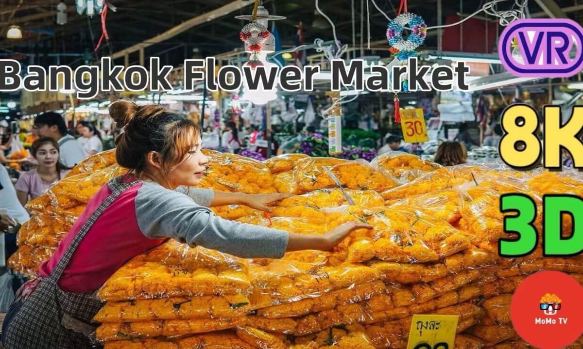Inside Bangkok’s 24-Hour Flower Market 🌸 | Pak Khlong Talad VR Tour | Thailand Nightlife in Bloom