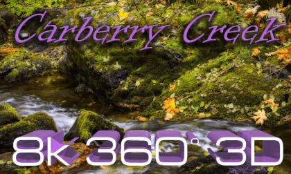 Carberry Creek - Immersive Relaxation