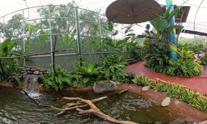 Aviario Xejuyup Aviario Xejuyup