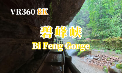 【VR360 8K】雅安碧峰峡 【VR360 8K】雅安碧峰峡