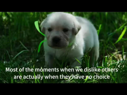 We always make slow progress in the lesson of "being considerate of others". We always make slow progress in the lesson of "being considerate of others".