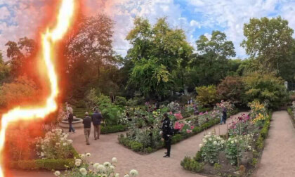 360 xalgar943  Madrid: Jardín Botánico (pase de fotos)