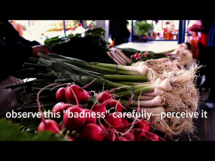 Emotions will disappear once observed. VR Video Emotions will disappear once observed. VR