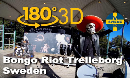 BONGO RIOT SWEDEN BONGO RIOT SWEDEN