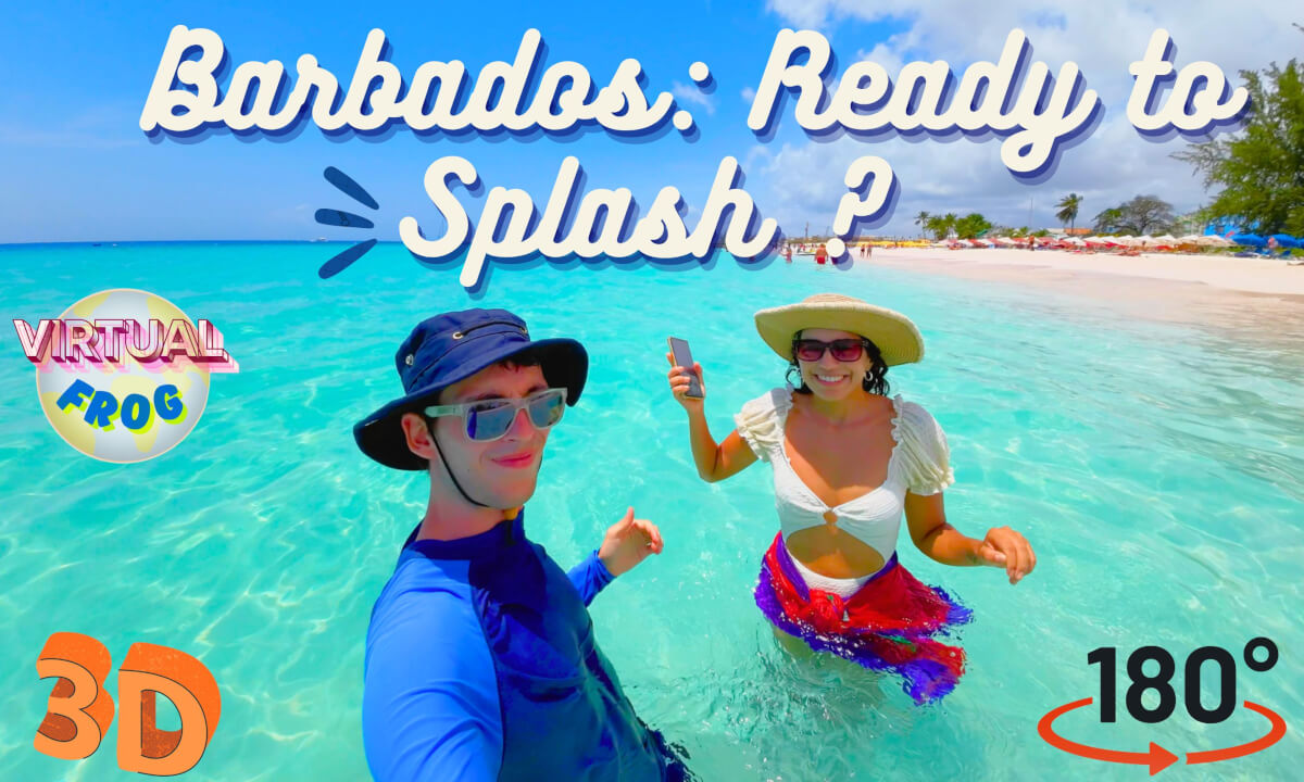 Wonders of the Caribbean | Enjoy Barbados' crystal-clear waters: Ready to Splash? | 8K 3D VR180