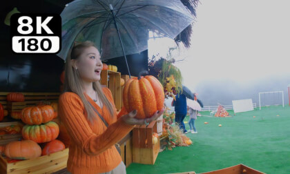 immersive viewing of the Cloudy Tulip Garden VR Video immersive viewing of the Cloudy Tulip Garden VR