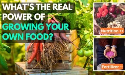 Amazing Environmental and Health Benefits of Growing Your Own Food VR Video Amazing Environmental and Health Benefits of Growing Your Own Food VR