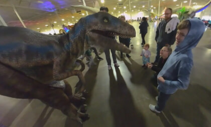 Up Close with Dino and Dragon Stroll 3D 180 VR Up Close with Dino and Dragon Stroll 3D 180 VR