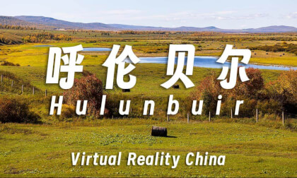 Golden Hulunbuir - An Immersive VR Journey 金色的呼伦贝尔 | 8K60P 3D 180 Golden Hulunbuir - An Immersive VR Journey 金色的呼伦贝尔 | 8K60P 3D 180