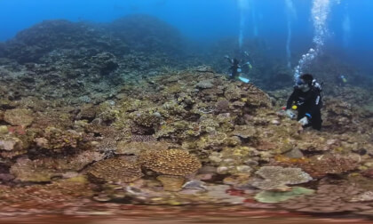 Manta rays are sneaking from behind | VR 360 video | Kabira Bay, Okinawa VR Video Manta rays are sneaking from behind | VR 360 video | Kabira Bay, Okinawa VR