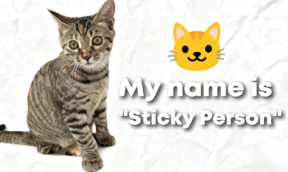 My name Is "Sticky Person" My name Is "Sticky Person"