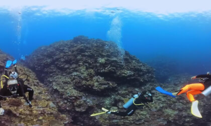 Turtle pilot above | VR 360 video