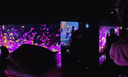 Teamlab Borderless Digital Arts Museum Tokyo 360