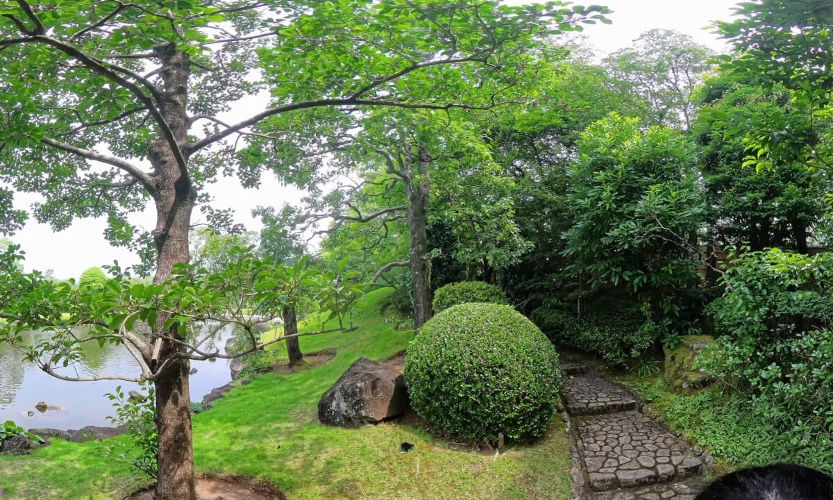Last Station Momijiyama garden