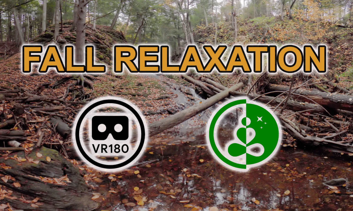 Kentville Ravine in Fall | Relaxing Nature VR 180 Experience | Nova Scotia Autumn Ambience