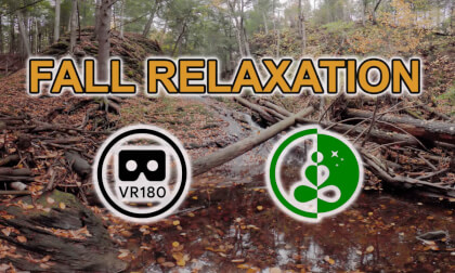 Kentville Ravine in Fall | Relaxing Nature VR 180 Experience | Nova Scotia Autumn Ambience VR Video Kentville Ravine in Fall | Relaxing Nature VR 180 Experience | Nova Scotia Autumn Ambience VR