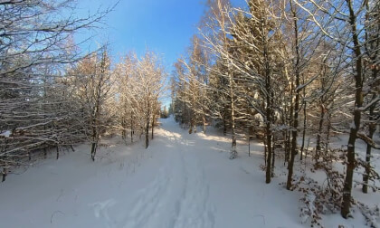 Jizera Mountains VR Video Jizera Mountains VR