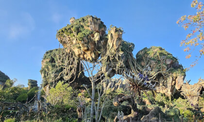 Pandora Floating Islands in World of Avatar Disney 360VR 8K VR Video Pandora Floating Islands in World of Avatar Disney 360VR 8K VR