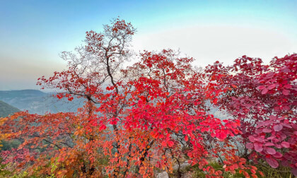 A colorful autumn A colorful autumn