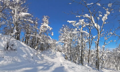 Pow Wow - Kamui Links, Hokkaido, Japan :: 360 VR high quality