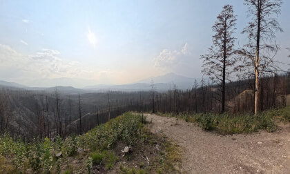 Maligne Canyon Wildfire Damage Revealed in 8K 360° VR