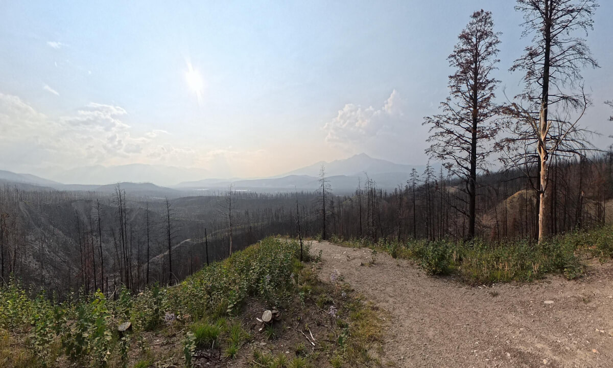 Maligne Canyon Wildfire Damage Revealed in 8K 360° VR